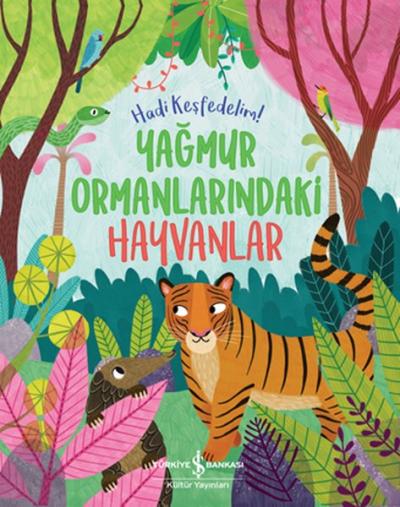 Yağmur Ormanlarındaki Hayvanlar - Hadi Keşfedelim! Claire Philip