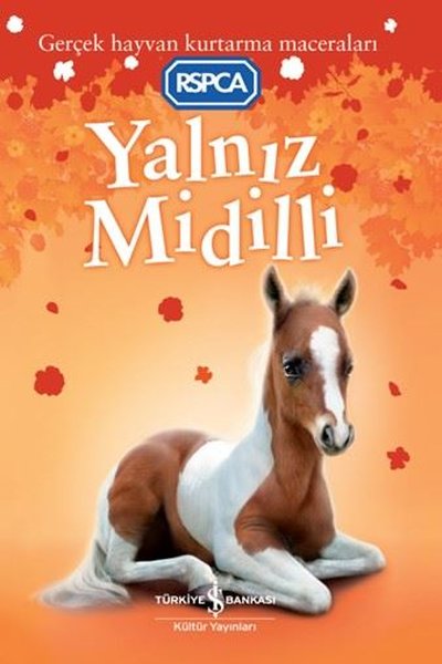 Yalnız Midilli - Gerçek Hayvan Kurtarma Maceraları Sarah Hawkins