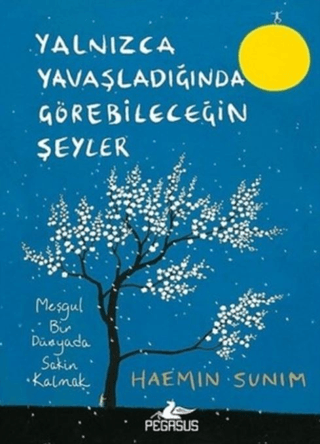 Yalnızca Yavaşladığında Görebileceğin Şeyler (Ciltli) Haemin Sunim