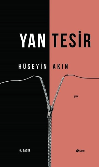 Yan Tesir Hüseyin Akın