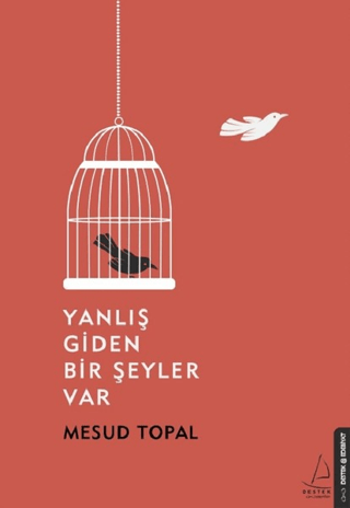 Yanlış Giden Bir Şeyler Var Mesud Topal