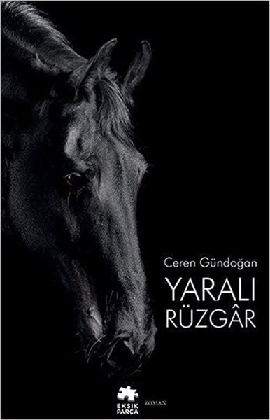 Yaralı Rüzgar Ceren Gündoğan