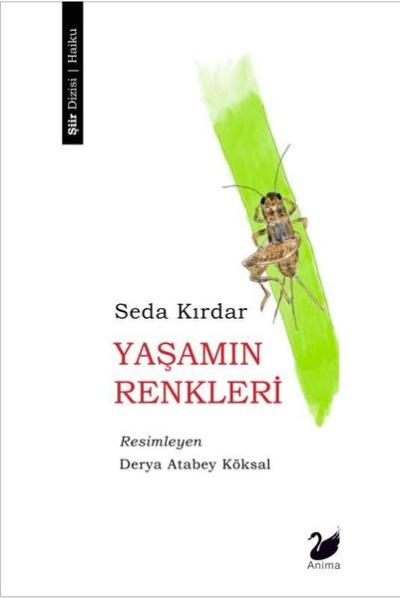 Yaşamın Renkleri Seda Kırdar