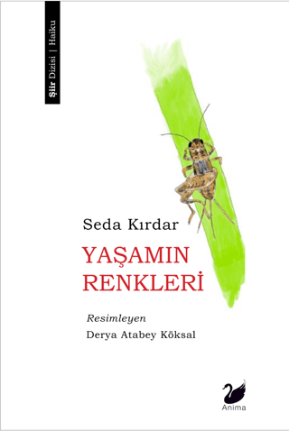 Yaşamın Renkleri Seda Kırdar