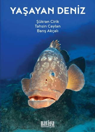 Yaşayan Deniz Şükran Cirik