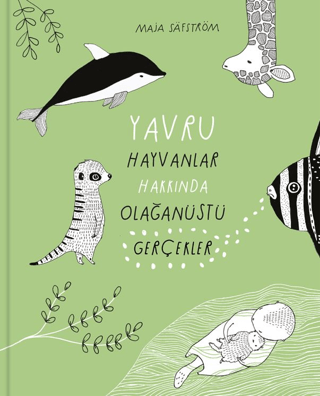 Yavru Hayvanlar Hakkında Olağanüstü Gerçekler (Ciltli) Maja Safström