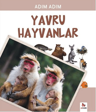 Yavru Hayvanlar Fiametta Dogi