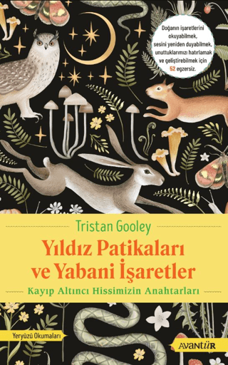 Yıldız Patikaları ve Yabani İşaretler - Kayıp Altıncı Hissimizin Anaht